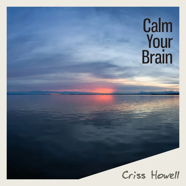 Calm Your Brain: Stress Relief & Nerve Regeneration, Brainwave Therapy Music