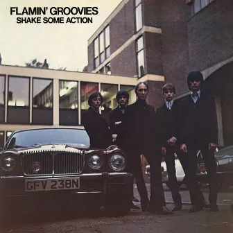 Shake Some Action by Flamin' Groovies