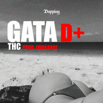 Gata D+ by THC