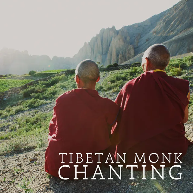 Tibetan Monk Chanting (Ancient Meditation, Connectedness with the Buddhist Path, Tibetan Temple)