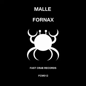 Fornax by Malle