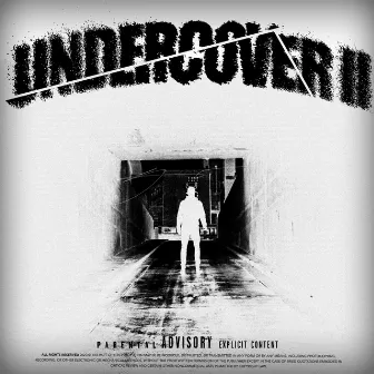 Undercover II by Pavel