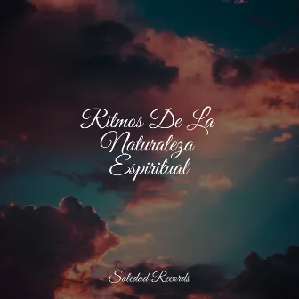 Ritmos De La Naturaleza Espiritual by Musica para Meditar Especialistas