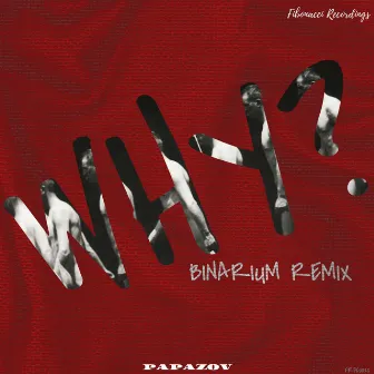 Why (Binarium Remix) by Binarium