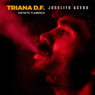 Triana D.F. - Distrito Flamenco by Joselito Acedo