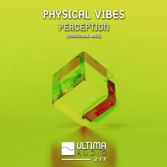 Perception by Physical Vibes