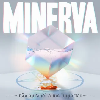 Não Aprendi a Me Importar by Minerva