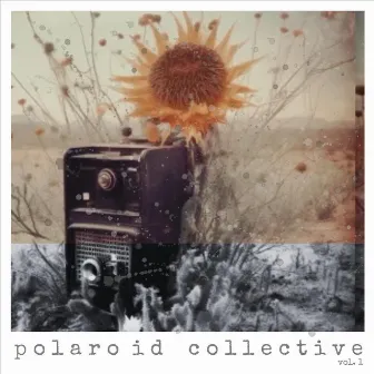 Polaroid Collective, Vol. 1 by Polaroid Collective