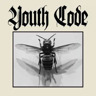 Anagnorisis by Youth Code