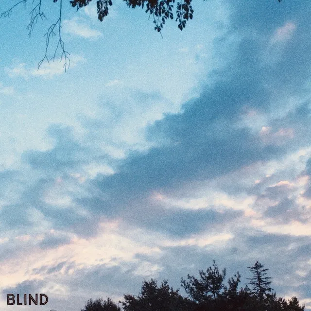 Blind