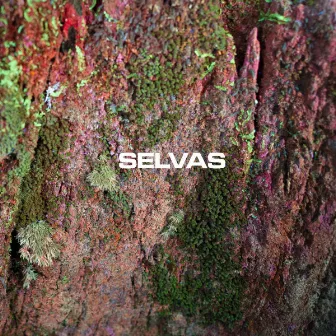 Selvas by Selvas