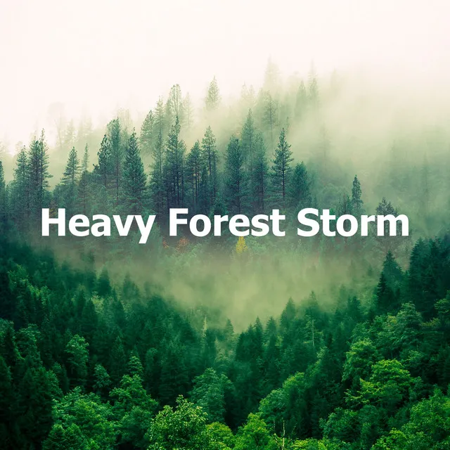 Heavy Forest Storm