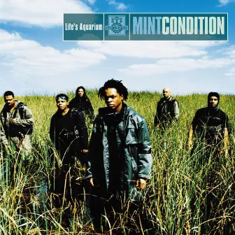 Life's Aquarium by Mint Condition