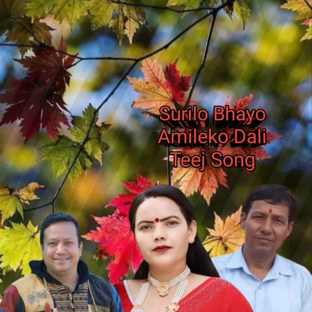 Suliro Bhayo Amileko Dali Teej Song