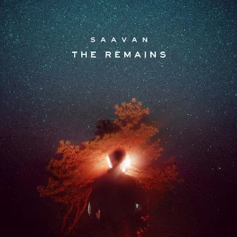 The Remains (A Year's Worth Of Songs) by Saavan