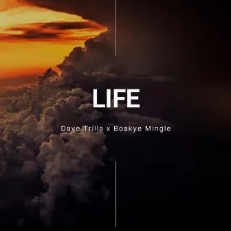 Life by Boakye Mingle