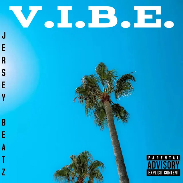 V.I.B.E.