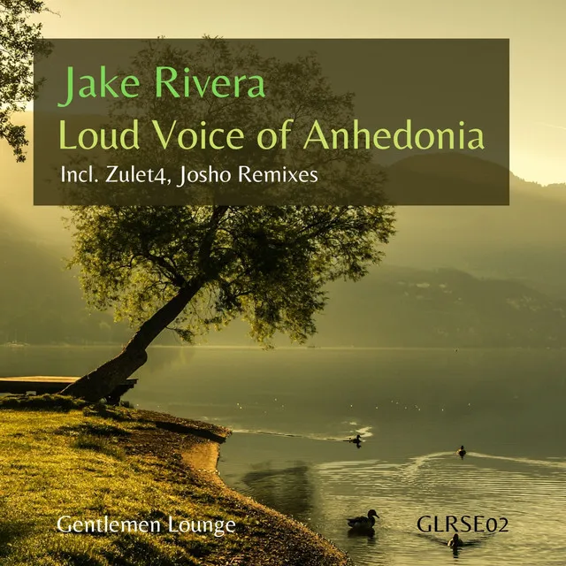 Loud Voice of Anhedonia - Zulet4 Remix