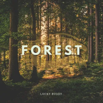 Forest by Lucky Buddy