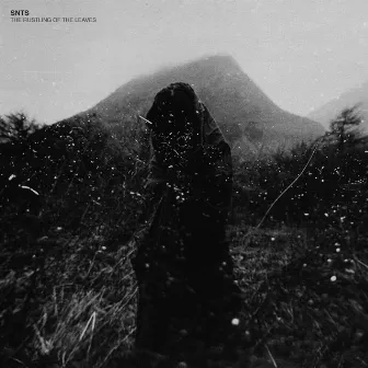 The Rustling Of The Leaves LP by Snts