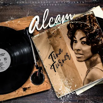 Tina Turner by Alcam