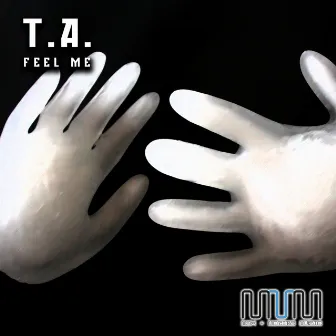 Feel Me by T.A.