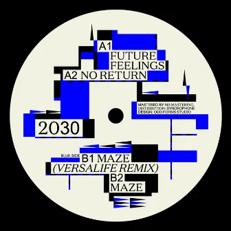 Future Feelings by 2030