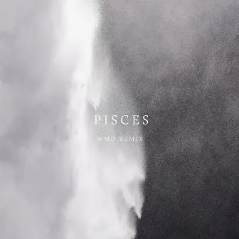 Pisces (WMD Remix) by PIANIKA