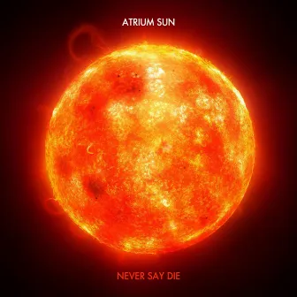 Never Say Die by Atrium Sun