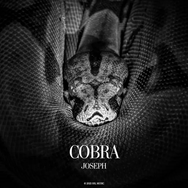 Cobra