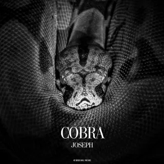 Cobra by Joseph