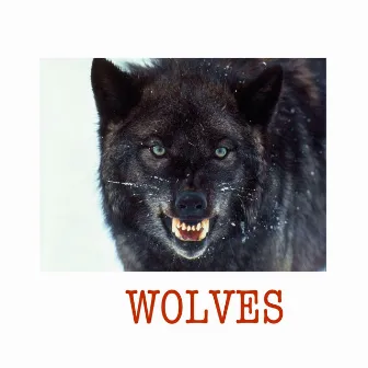 Wolves by J.Jones