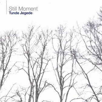 Still Moment by Tunde Jegede