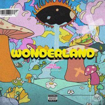 Wonderland by SHLM