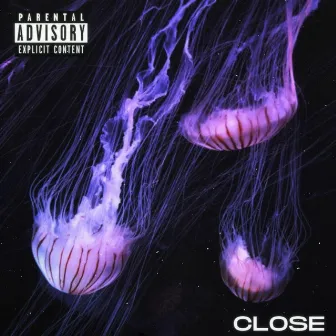 CLOSE by J.Medina