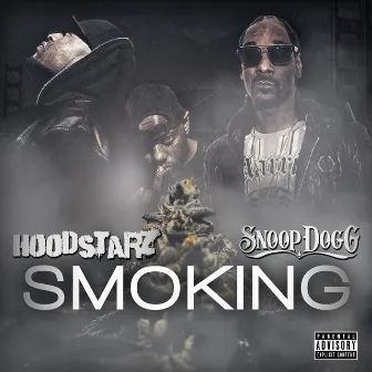 Smoking (feat. Snoop Dogg & Joseph Kay) by The HoodStarz