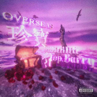 Overseas珍宝 by Top.Barry