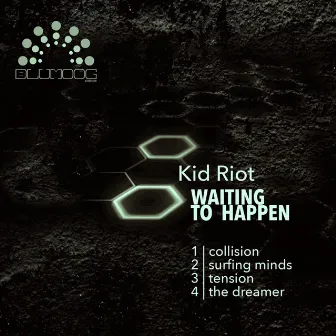 Waiting to Happen by Kid Riot