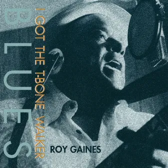 I Got The T-Bone Walker Blues by Roy Gaines