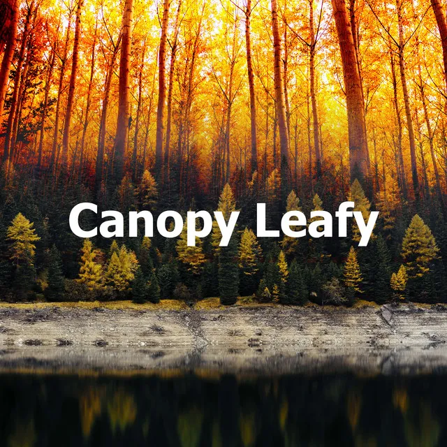 Canopy Leafy