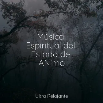 Música Espiritual del Estado de ÁNimo by Música para Dormir Con Relajantes Sonidos de la Naturaleza