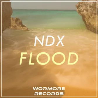 Flood by NDX