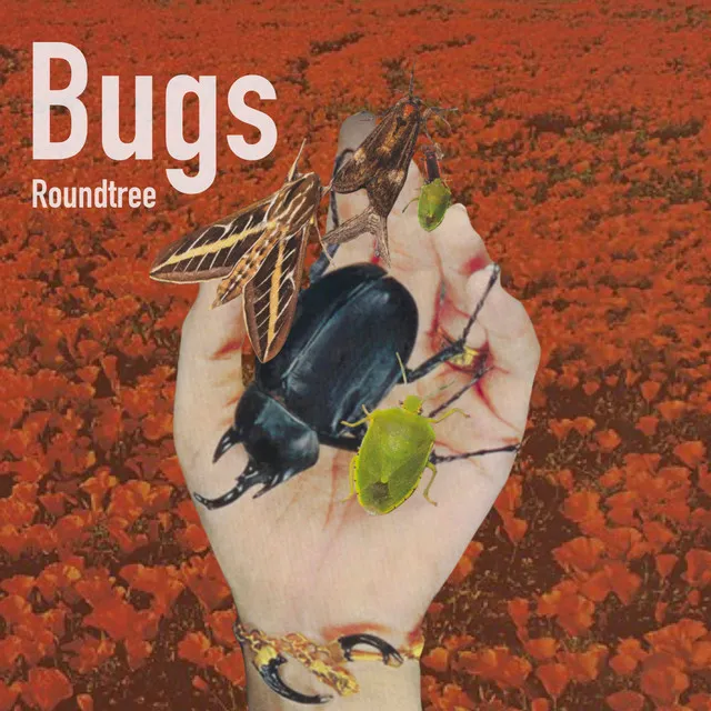 Bugs