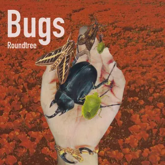 Bugs by Roundtree