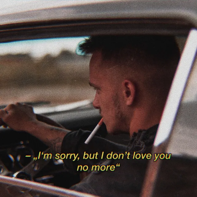 I'm Sorry, But I Don't Love You No More