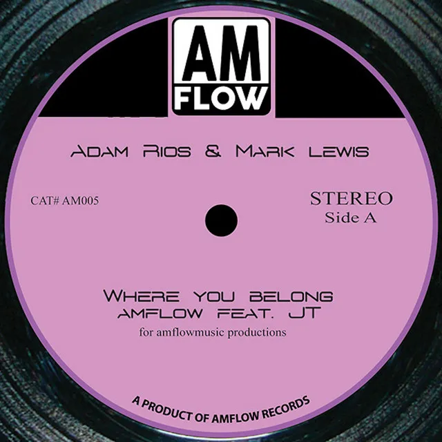 Where You Belong - Amflow Mix Vox