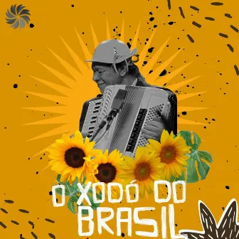 Ceará Junino, o Xodó do Brasil by Ceará Junino