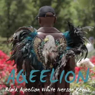 Black Aqeelion White Iverson by Aqeelion