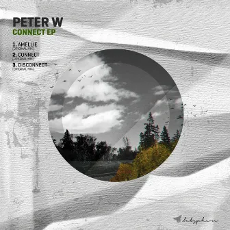 Connect EP by Peter W