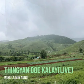 Thingyan Doe Kalay(Live) by Unknown Artist